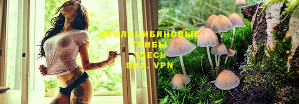 кокаин колумбия Заводоуковск
