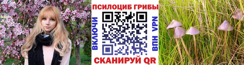 Купить  Красноуфимск  Галлюциногенные грибы MAGIC MUSHROOMS 